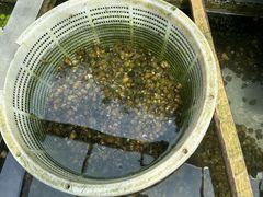 -途中饭店(开化店)