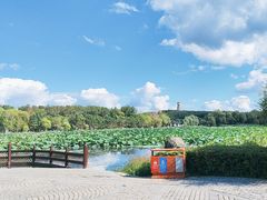 -长春净月潭风景名胜区