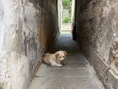 -乌镇东栅景区