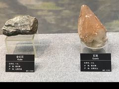 -甘肃地质博物馆