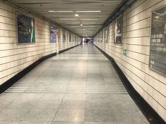 -上海科技馆(地铁站)