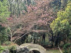 -句容茅山景区
