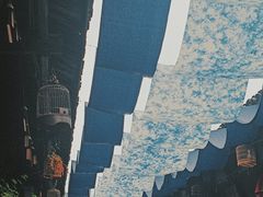 -安仁古镇