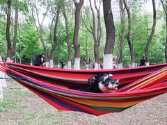 -长白岛森林公园