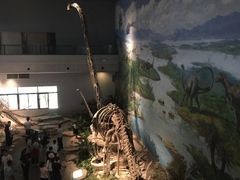 -自贡恐龙博物馆