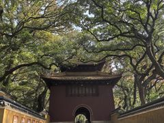 -普陀山风景名胜区-法雨禅寺