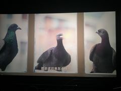 -博纳国际影城(铜锣湾激光巨幕杜比店)