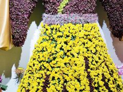 -杭州植物园