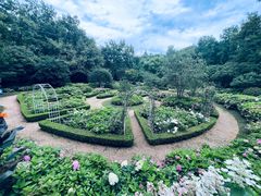 -上海共青森林公园