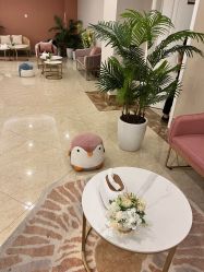 -顺德壹加壹美容医院