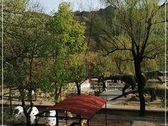 -百里山水画廊-恐龙游乐园