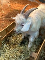 -Zoolung Zoolung动物主题公园(海信广场店)