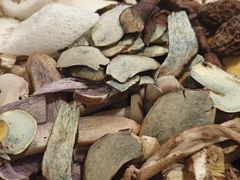 野生菌拼盘-草墩罗非鱼庄•野生菌•腊排骨(七星街上段店)