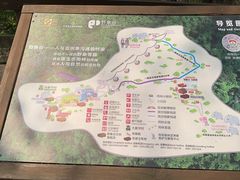 -野象谷景区