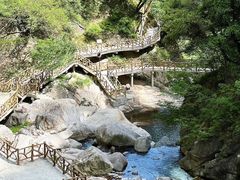 -洛阳白云山景区