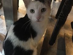 -广记海鲜(杨汊湖一店)