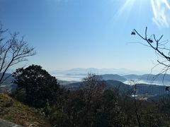 -黄贤森林公园