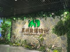 -野象谷景区