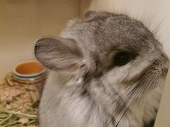 -龙猫仔乐园(惠福东路店)