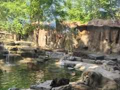 -北京野生动物园