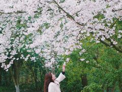-杭州少年儿童公园
