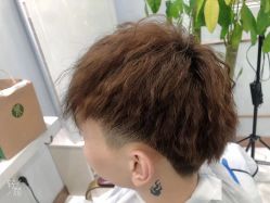 -镁连社·美联社