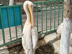 -水上乐园·欢乐世界