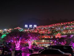 -枇杷园食为鲜火锅(南山店)