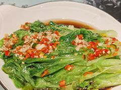 爽口生菜梗-风波庄(罍街分舵)