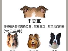 -守诺宠物医院·眼科· 神经外科·爬宠专科(虹口店)