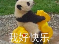 -DQ·蛋糕·冰淇淋(余姚万达店)