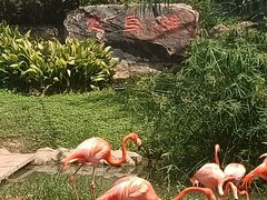 -无锡动物园·太湖欢乐园