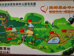 -西双版纳原始森林公园