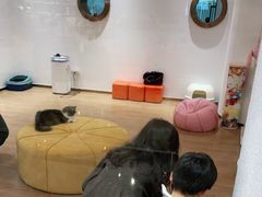 -1013 PET SHOP精品宠物商店(丁香店)