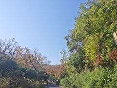 -宝界山林公园