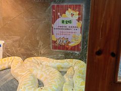 -上海大自然野生昆虫馆(东方明珠·爬宠昆虫探索中心)