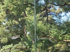 -浙江西子宾馆·瑶园咖啡厅