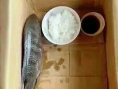 -天空之城游乐体验世界(万宝广场店)