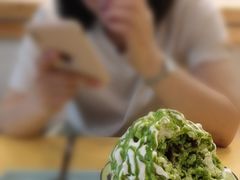 -王守财小山園
