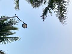 -深圳湾公园(南山区)