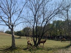 -良渚古城遗址公园