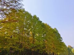 -云龙湖旅游景区