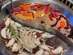 -辣伍鲜毛肚老火锅(元一店)