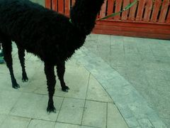 -小小运动馆(罗宾森中心)