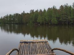 -尚湖风景区