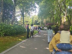 -朴园