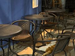 -琥珀川咖啡馆·Amber cafe(百祥路店)