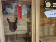 -白兔子密室(长寿路店)