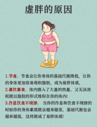 -Fundi张玉珊修身堂·indiba·BTL科技瘦身
