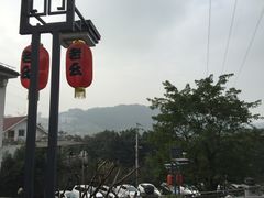-老幺泉水鸡